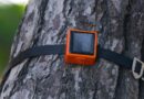 ForestGuard is building the ‘Internet of Trees’ to detect fires even earlier